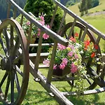 Gaestehaus Herrmann Bad Rippoldsau-Schapbach