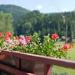 Herrmann 3* Bad Rippoldsau-Schapbach