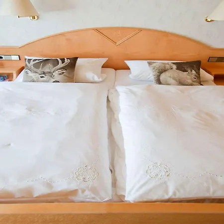 Gaestehaus Herrmann 招待所 3*