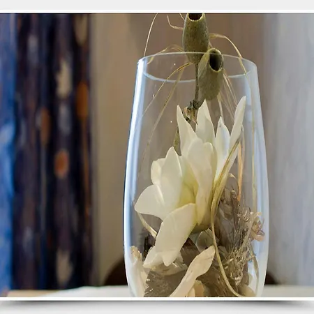 Gaestehaus Herrmann 特拉本特拉巴赫