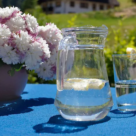 Pensión Gaestehaus Herrmann