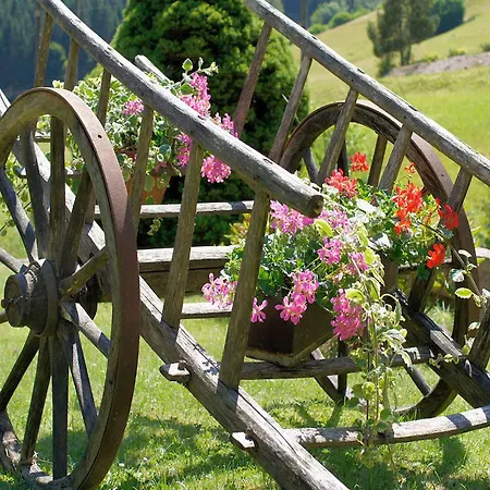 Gaestehaus Herrmann 特拉本特拉巴赫