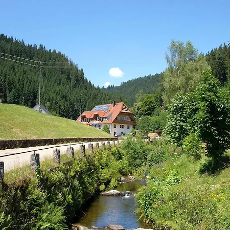 Gaestehaus Herrmann Penzion Bad Rippoldsau-Schapbach
