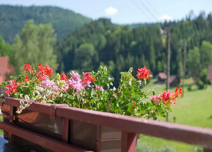 Gaestehaus Herrmann Penzion 3*