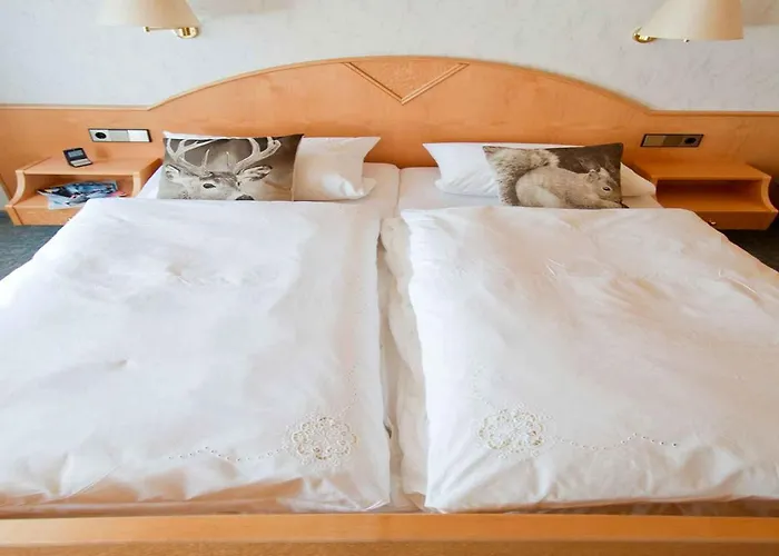 Gaestehaus Herrmann Penzion 3*