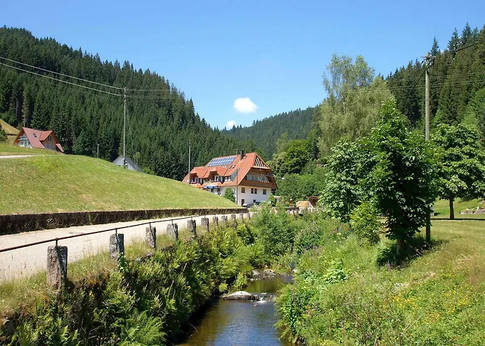 Gaestehaus Herrmann Penzion Bad Rippoldsau-Schapbach