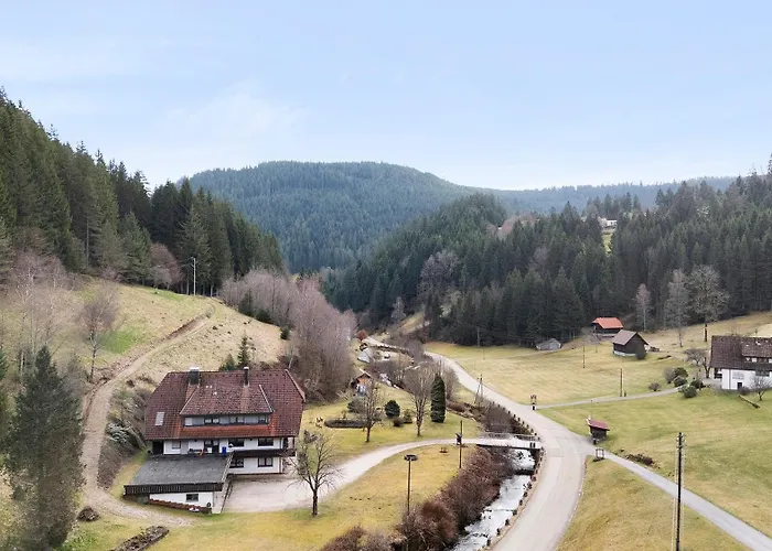 Gasthuis Gaestehaus Herrmann Bad Rippoldsau-Schapbach
